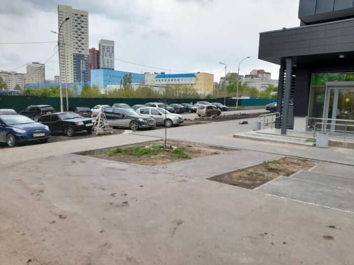 Варварски уничтоженный газон