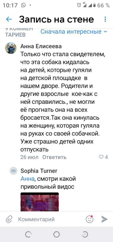 Родители пишут что они в ужасе от этой собаки