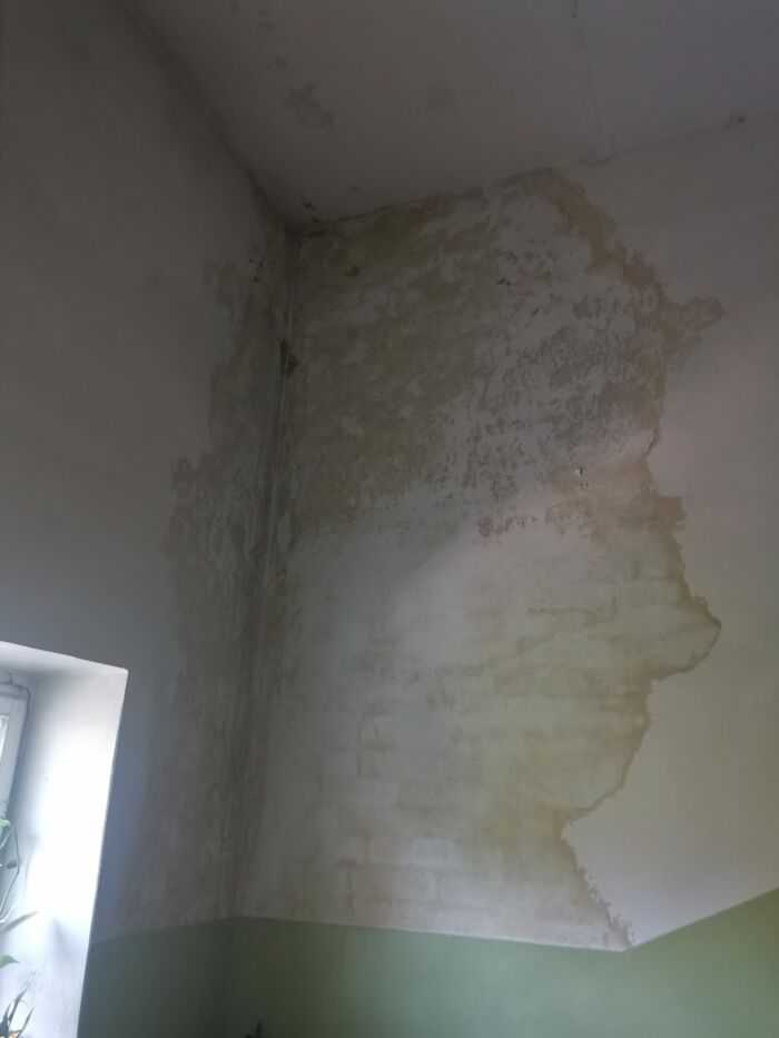 лесничная площадка 5 этаж 