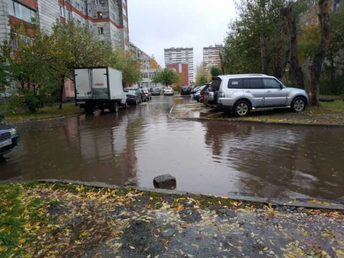 лужа