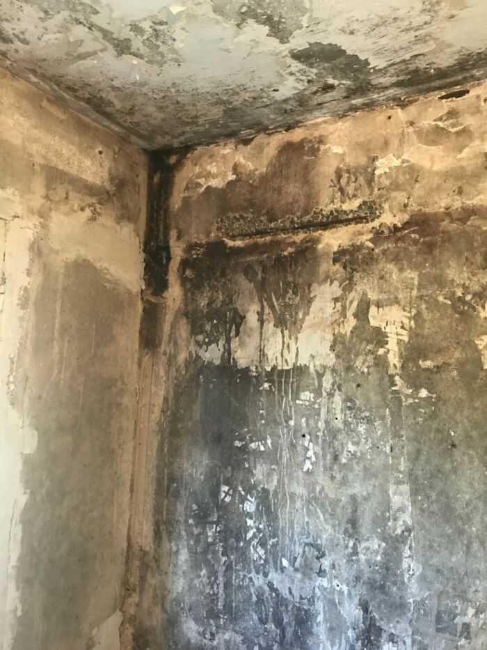 Угол комнаты стена и потолок