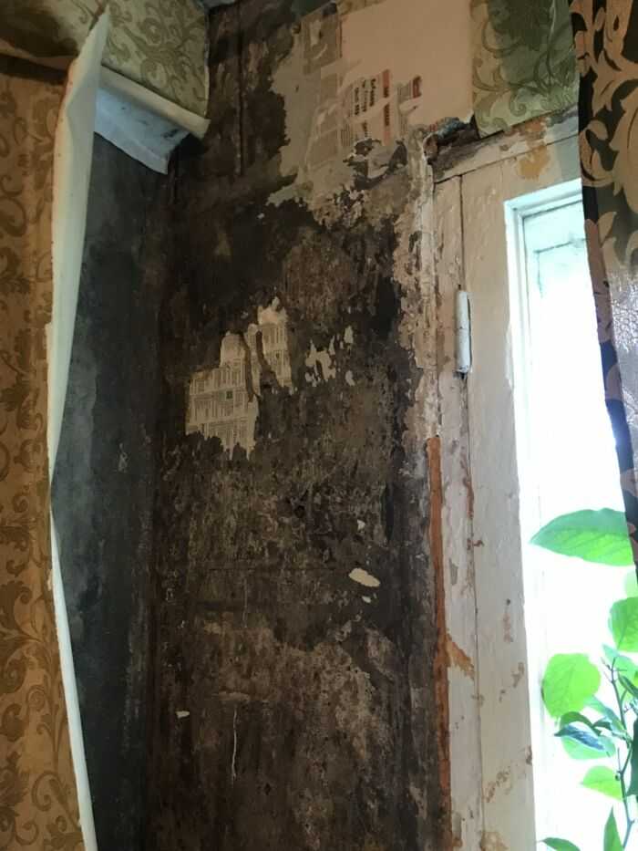 Угол в другой комнате, этой же квартиры