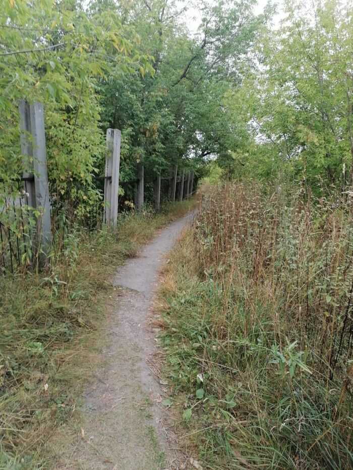 Дорожка вдоль школы, за забором школа
