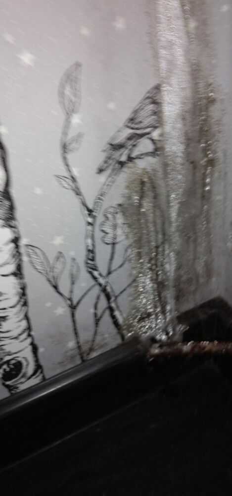 Плесневых угол в другой комнате,там тоже сделан ремонт