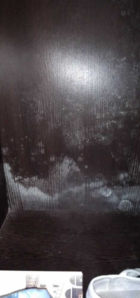 Новый шкаф с плесенью внутри