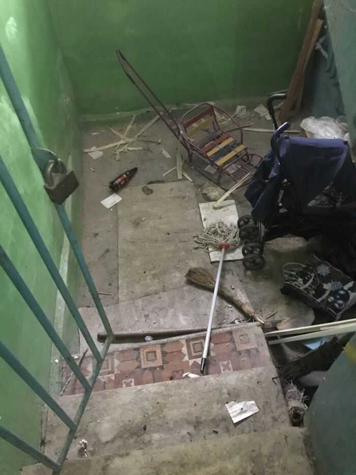 Фото участка под лесничной клеткой