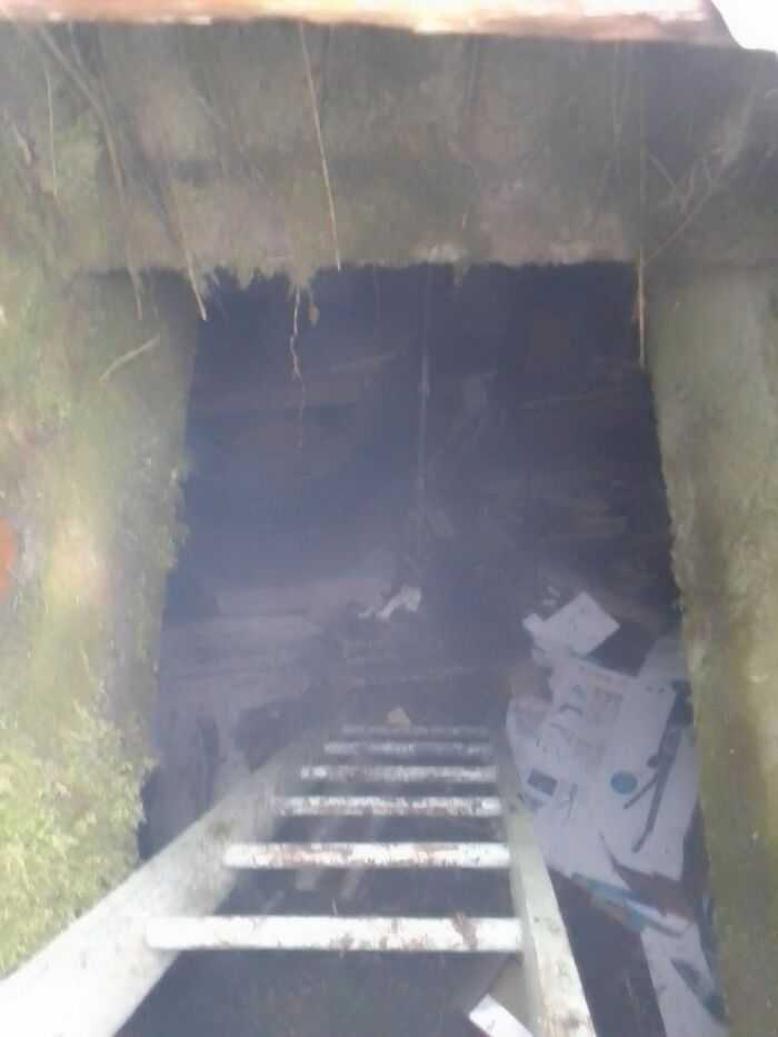 лестница и подземный вход