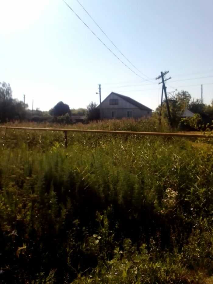 Миниципальная территория в близится дома в зарослях