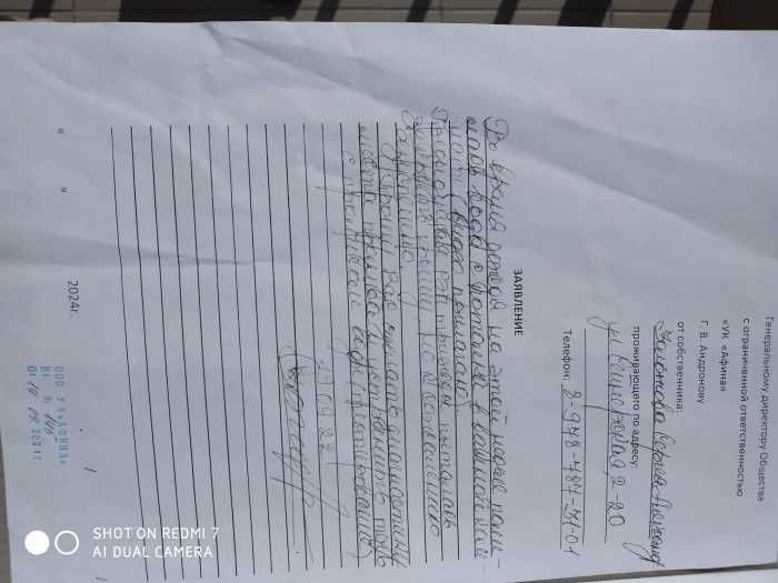 текст заявления